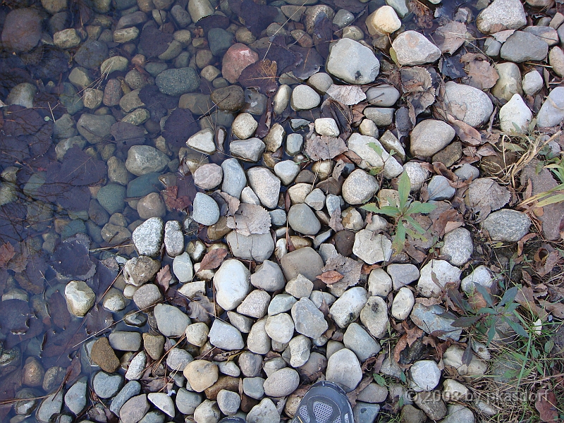 23 Shiawassee National Wildlife Refuge [2008 Nov 5].JPG - Scenes from Shiawassee National Wildlife Refuge in Michigan.